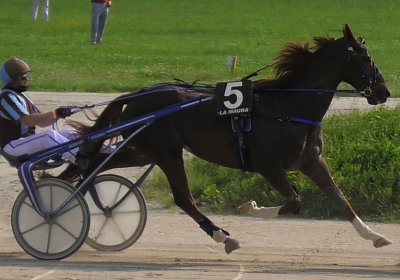 29 05 21 H S5000062 Ulysse