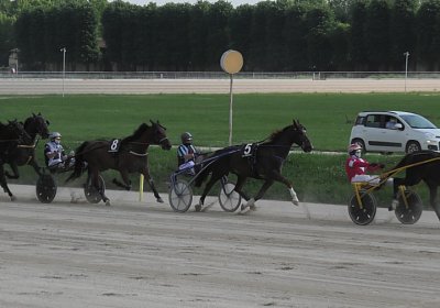 29 05 21 H S5000063 Ulysse