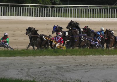 29 05 21 H S5000064 Ulysse