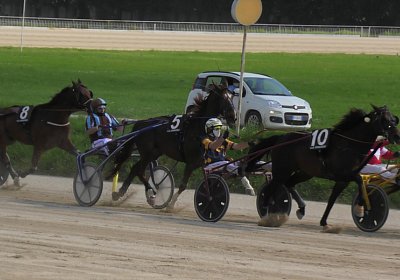 29 05 21 H S5000065 Ulysse