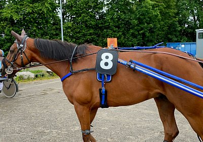 05 06 21 B IMG 8001 Elkador