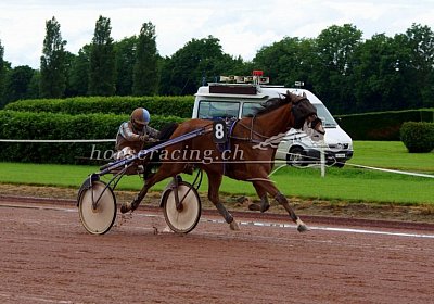 05 06 21 C nv 01 06 elkador de romane