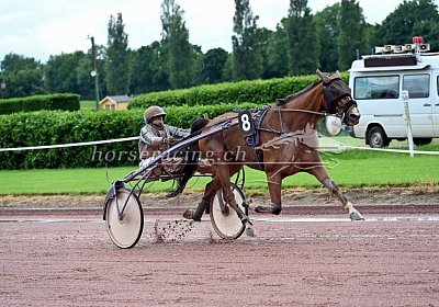 05 06 21 C uw 01 01 elkador de romane