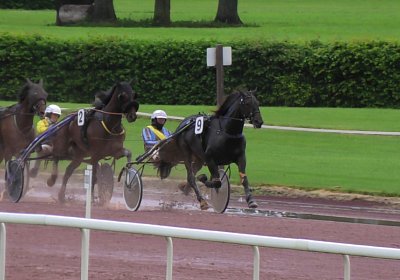 05 06 21 F S5000094 Jack