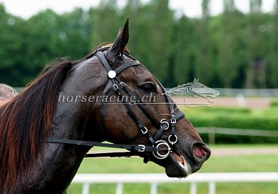 05 06 21 H nv 02 12 jack scott