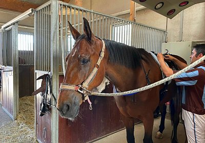 13 06 21 Av A IMG 8561 Chevy