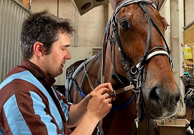 13 06 21 Av A IMG 8564 Chevy