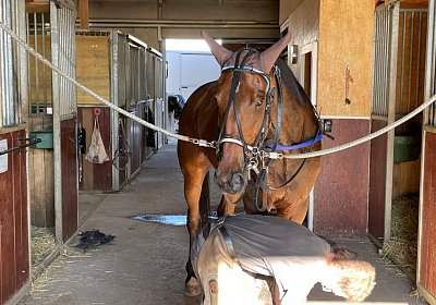 13 06 21 Av A IMG 8592 Chevy