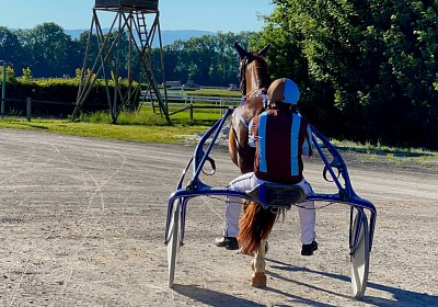 13 06 21 Av B IMG 8590 Ulysse