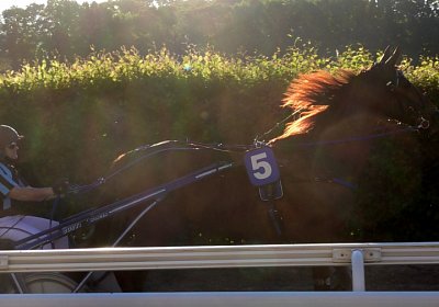 13 06 21 Av B S5030011 Ulysse