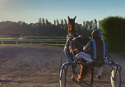 13 06 21 Av C IMG 8607 Ulysse