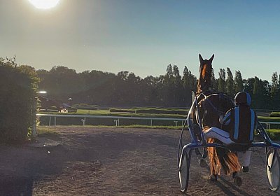 13 06 21 Av C IMG 8609 Ulysse