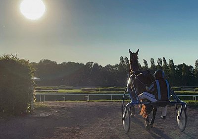 13 06 21 Av C IMG 8610 Ulysse