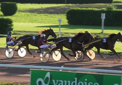 13 06 21 Av D S5030012 Ulysse