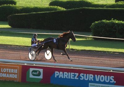 13 06 21 Av D S5030016 Ulysse