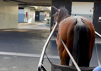 Vincennes Vessillo 18 06 21 E IMG 8792