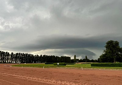 Av 24 Juli 21 Z IMG 0919