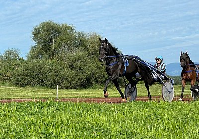 Av 10 08 2021 A IMG 1777 Zigano Astro