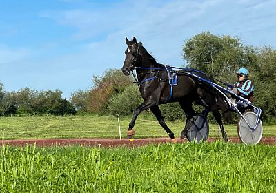 Av 10 08 2021 A IMG 1779 Zigano