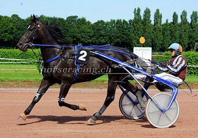 Av 10 08 2021 E C nv 01 01 zigano