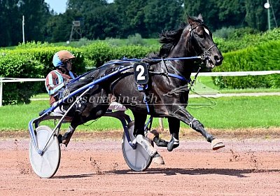 Av 10 08 2021 E D uw 01 02 zigano