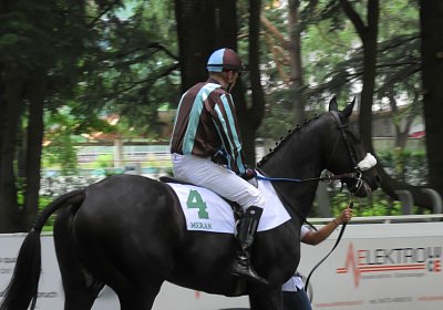 C S5200027 Meran 15aug2021 Candalex