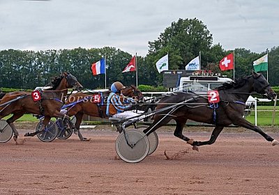 Av 25aug2021 F uw 04 06 energy fighter greyhound boko donato cardhu