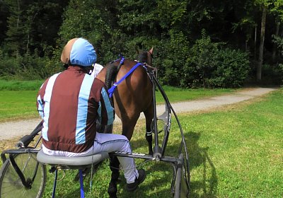 Aarau 12sept21 D S5290013 Noon
