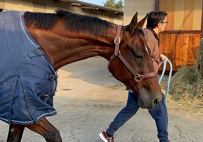 Milano 23 okt21 C IMG 7651 Rushmore