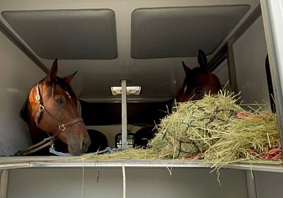 Milano 23 okt21 D IMG 7660 Vessillo Rushmore