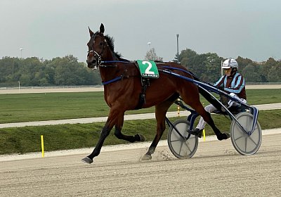 Milano 23 okt21 E IMG 7712 Rushmore