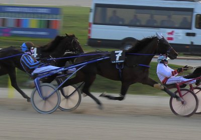 Milano 23 okt21 N S5340132 Vessillo