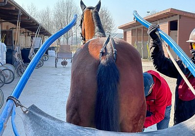 Av 10maerz2022 C IMG 7268 Ange