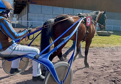 Av 10maerz2022 C IMG 7334 Ange