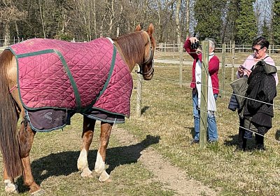 Av 10maerz2022 H IMG 7387 Cousin