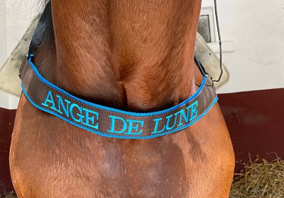 1Mai2022 L IMG 1107 Ange