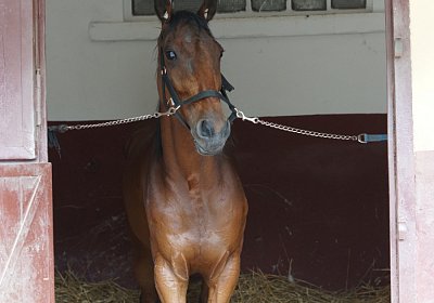 1Mai2022 M DSC06484 Ange