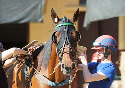 1Mai2022 N DSC06537 Ange