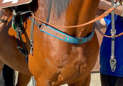 1Mai2022 N IMG 1110 Ange