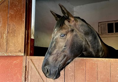 1Mai2022 Y IMG 1102 King of Queens