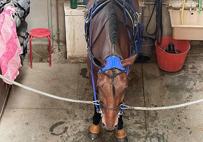 Av 20Mai 2022 C IMG 2428 Noon