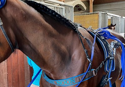 Av 20Mai 2022 C IMG 2429 Noon