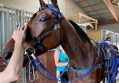 Av 20Mai 2022 C IMG 2430 Noon