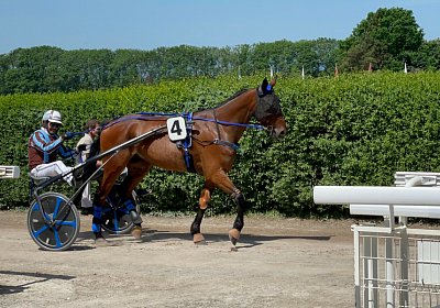 Av 20Mai 2022 C IMG 2459 Noon