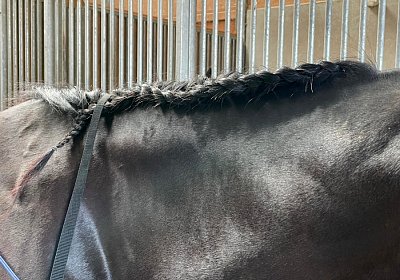 Av 20Mai 2022 F IMG 2444 Energy