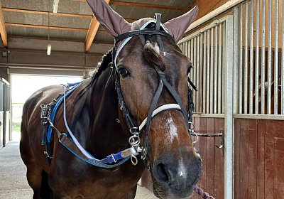 Av 20Mai 2022 F IMG 2445 Energy