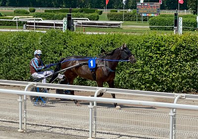 Av 20Mai 2022 F IMG 2477 Energy