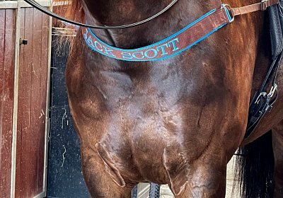 Av 20Mai 2022 G IMG 2433 Jack