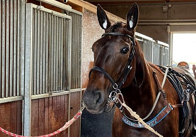 Av 20Mai 2022 G IMG 2436 Jack