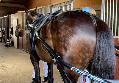 Av 20Mai 2022 G IMG 2452 Jack